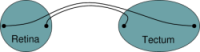 retinotectal-thumb.png