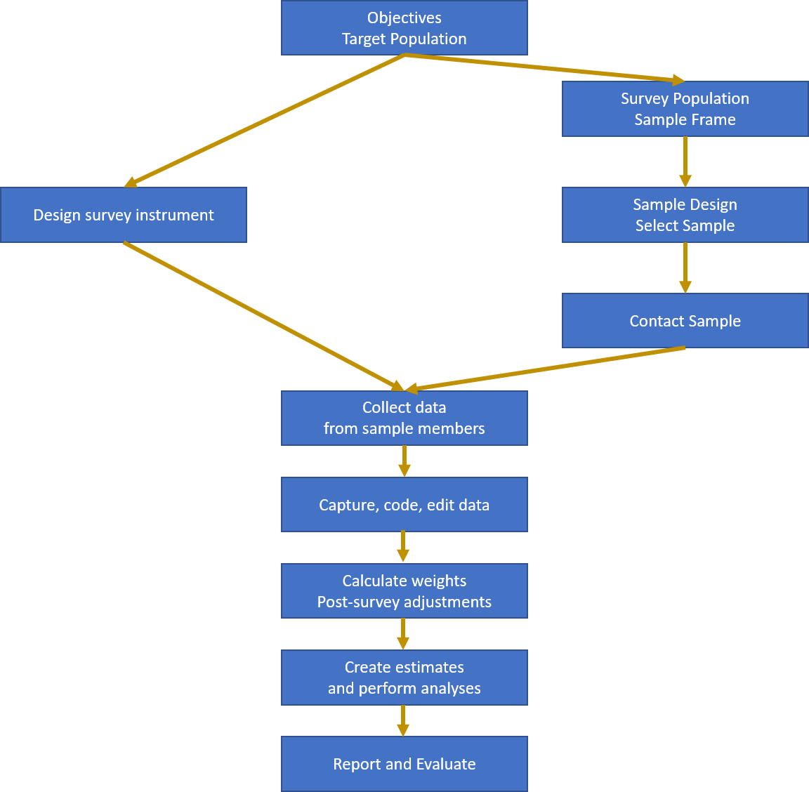 The Survey Process